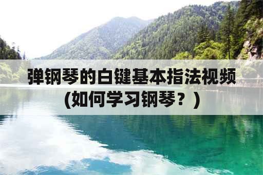 弹钢琴的白键基本指法视频(如何学习钢琴？)