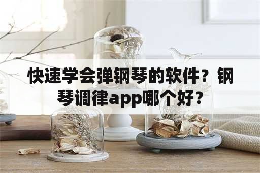 快速学会弹钢琴的软件？钢琴调律app哪个好？