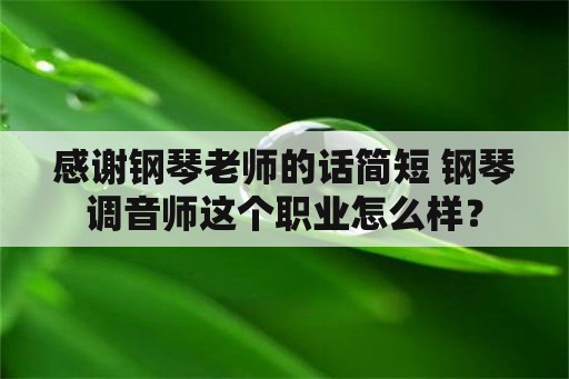 感谢钢琴老师的话简短 钢琴调音师这个职业怎么样？