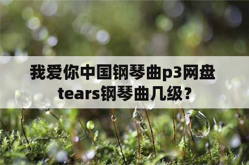 我爱你中国钢琴曲p3网盘 tears钢琴曲几级？