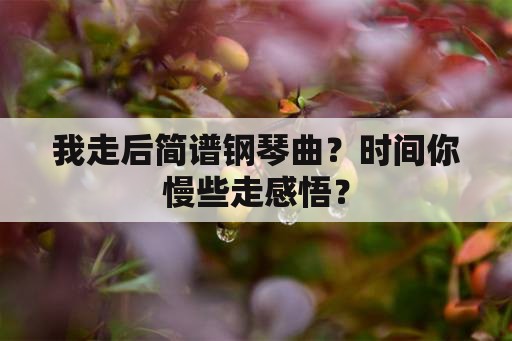 我走后简谱钢琴曲？时间你慢些走感悟？