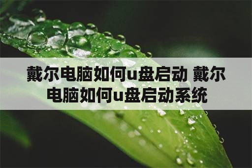 戴尔电脑如何u盘启动 戴尔电脑如何u盘启动系统