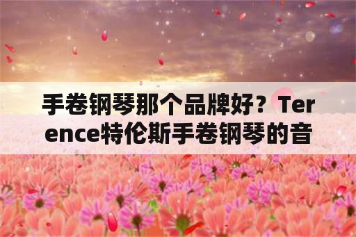 手卷钢琴那个品牌好？Terence特伦斯手卷钢琴的音色怎么样？