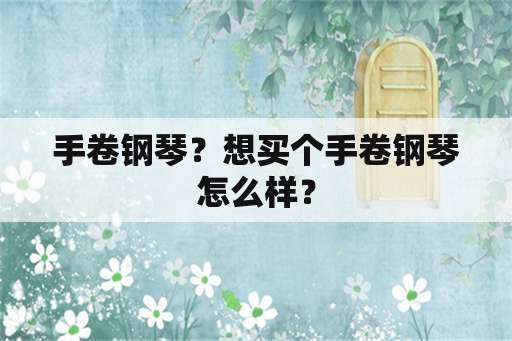 手卷钢琴？想买个手卷钢琴怎么样？