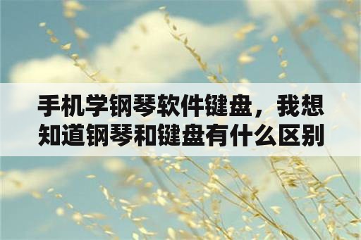 手机学钢琴软件键盘，我想知道钢琴和键盘有什么区别啊？