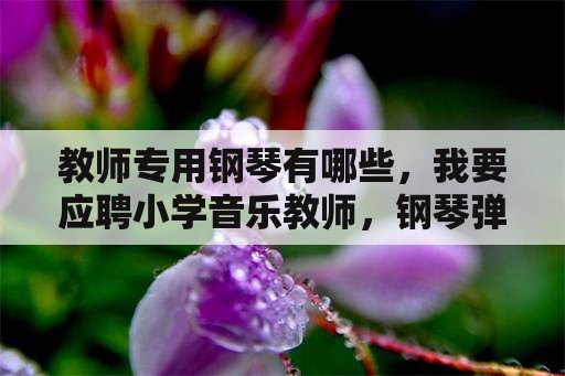 教师专用钢琴有哪些，我要应聘小学音乐教师，钢琴弹什么好？