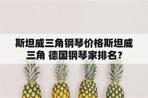 斯坦威三角钢琴价格斯坦威三角 德国钢琴家排名？