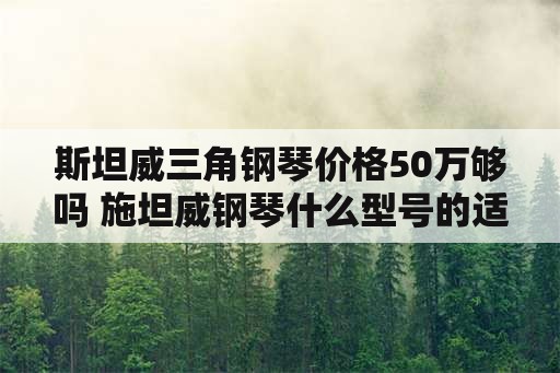 斯坦威三角钢琴价格50万够吗 施坦威钢琴什么型号的适合家用？