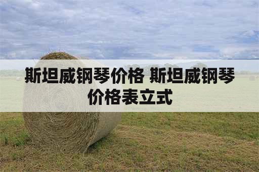 斯坦威钢琴价格 斯坦威钢琴价格表立式