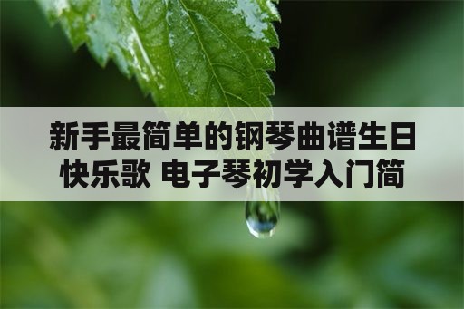 新手最简单的钢琴曲谱生日快乐歌 电子琴初学入门简谱？