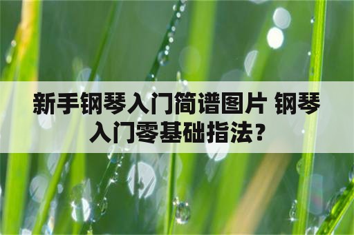 新手钢琴入门简谱图片 钢琴入门零基础指法？