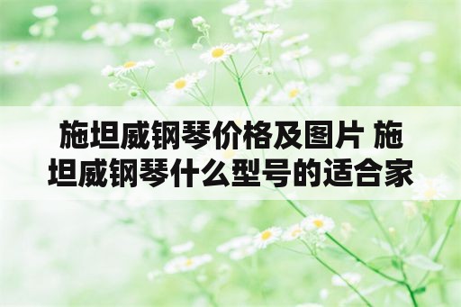 施坦威钢琴价格及图片 施坦威钢琴什么型号的适合家用？