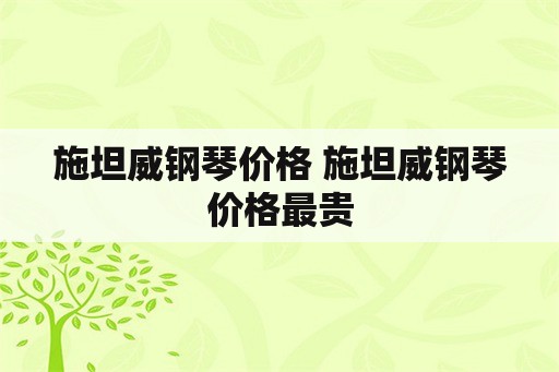 施坦威钢琴价格 施坦威钢琴价格最贵