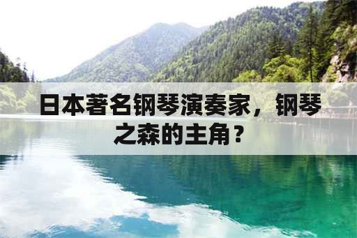 日本著名钢琴演奏家，钢琴之森的主角？