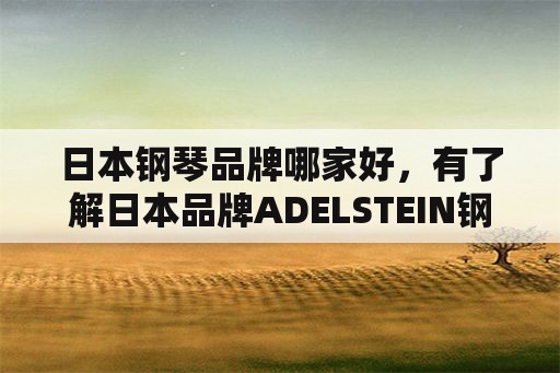 日本钢琴品牌哪家好，有了解日本品牌ADELSTEIN钢琴？