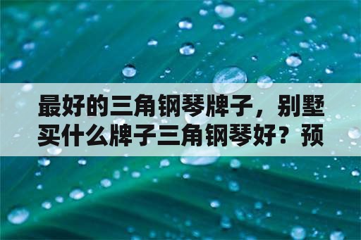 最好的三角钢琴牌子，别墅买什么牌子三角钢琴好？预算50万能买德？