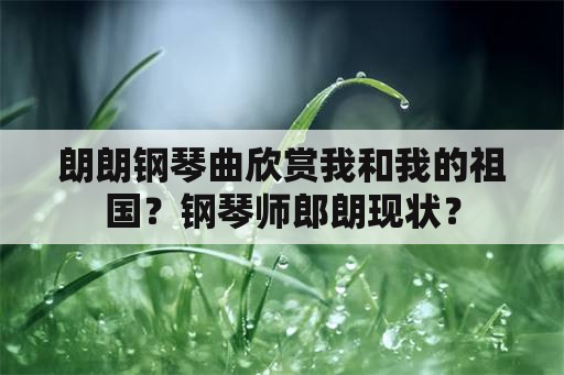 朗朗钢琴曲欣赏我和我的祖国？钢琴师郎朗现状？