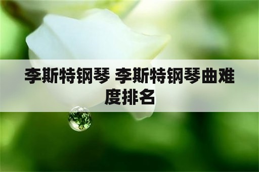 李斯特钢琴 李斯特钢琴曲难度排名