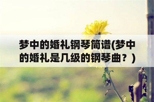 梦中的婚礼钢琴简谱(梦中的婚礼是几级的钢琴曲？)