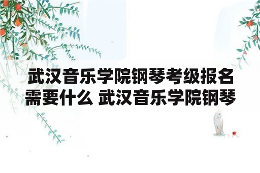 武汉音乐学院钢琴考级报名需要什么 武汉音乐学院钢琴系难考吗？