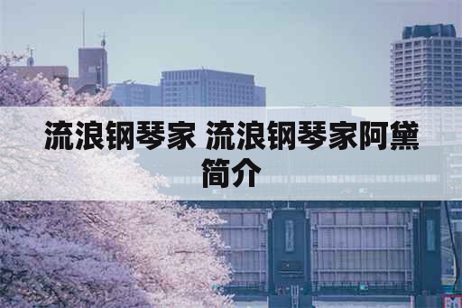 流浪钢琴家 流浪钢琴家阿黛简介