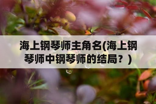 海上钢琴师主角名(海上钢琴师中钢琴师的结局？)