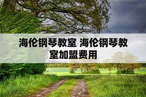 海伦钢琴教室 海伦钢琴教室加盟费用