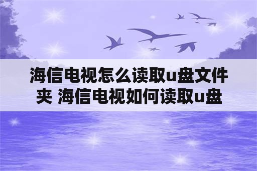 海信电视怎么读取u盘文件夹 海信电视如何读取u盘