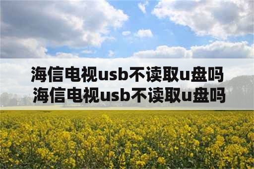 海信电视usb不读取u盘吗 海信电视usb不读取u盘吗怎么回事