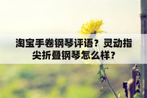 淘宝手卷钢琴评语？灵动指尖折叠钢琴怎么样？