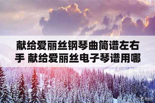 献给爱丽丝钢琴曲简谱左右手 献给爱丽丝电子琴谱用哪个乐器音？