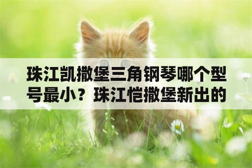 珠江凯撒堡三角钢琴哪个型号最小？珠江恺撒堡新出的KA系列钢琴怎么样，大家一起来说说？