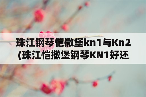 珠江钢琴恺撒堡kn1与Kn2(珠江恺撒堡钢琴KN1好还是KN2好？)