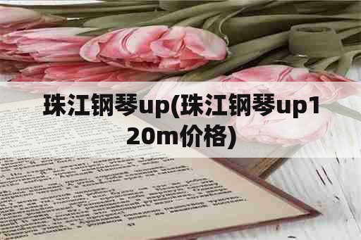 珠江钢琴up(珠江钢琴up120m价格)