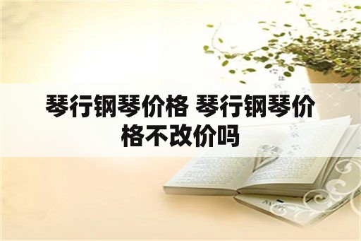 琴行钢琴价格 琴行钢琴价格不改价吗