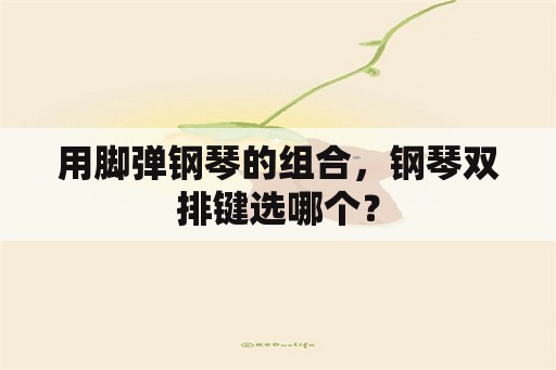 用脚弹钢琴的组合，钢琴双排键选哪个？