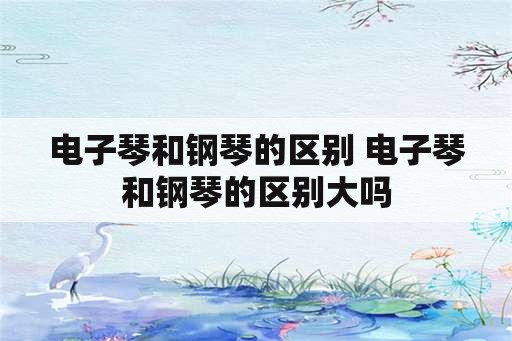 电子琴和钢琴的区别 电子琴和钢琴的区别大吗