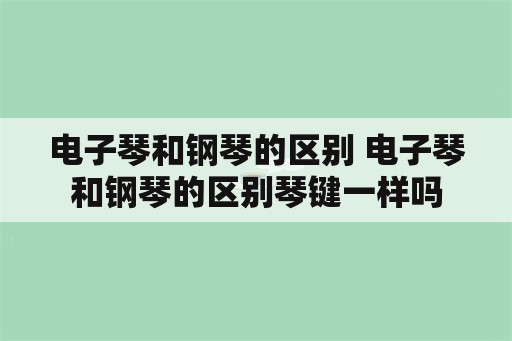 电子琴和钢琴的区别 电子琴和钢琴的区别琴键一样吗