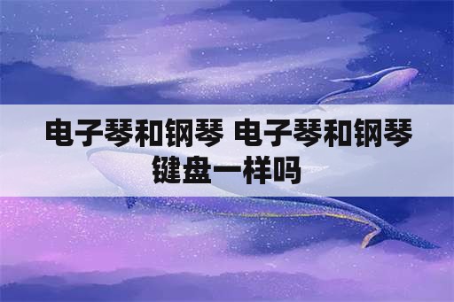 电子琴和钢琴 电子琴和钢琴键盘一样吗