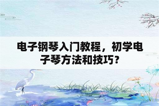 电子钢琴入门教程，初学电子琴方法和技巧？