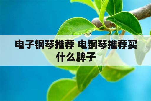 电子钢琴推荐 电钢琴推荐买什么牌子