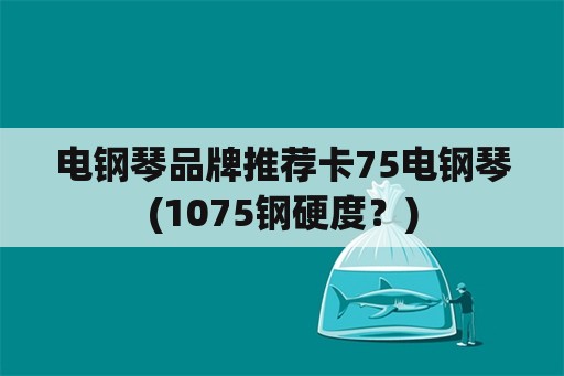 电钢琴品牌推荐卡75电钢琴(1075钢硬度？)