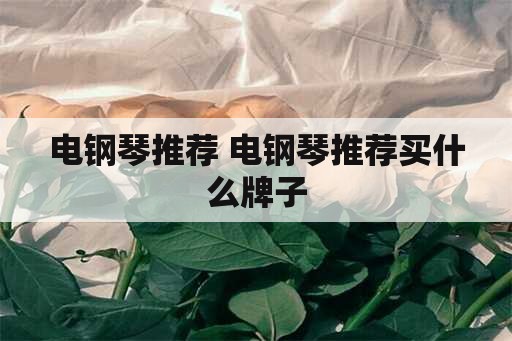 电钢琴推荐 电钢琴推荐买什么牌子