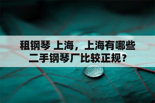 租钢琴 上海，上海有哪些二手钢琴厂比较正规？