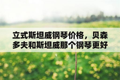 立式斯坦威钢琴价格，贝森多夫和斯坦威那个钢琴更好？