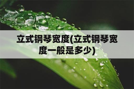 立式钢琴宽度(立式钢琴宽度一般是多少)