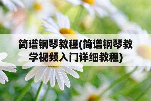 简谱钢琴教程(简谱钢琴教学视频入门详细教程)