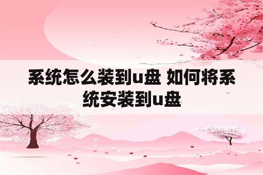 系统怎么装到u盘 如何将系统安装到u盘