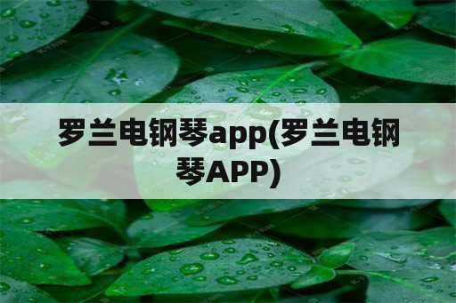 罗兰电钢琴app(罗兰电钢琴APP)