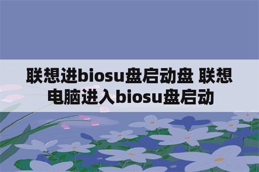 联想进biosu盘启动盘 联想电脑进入biosu盘启动